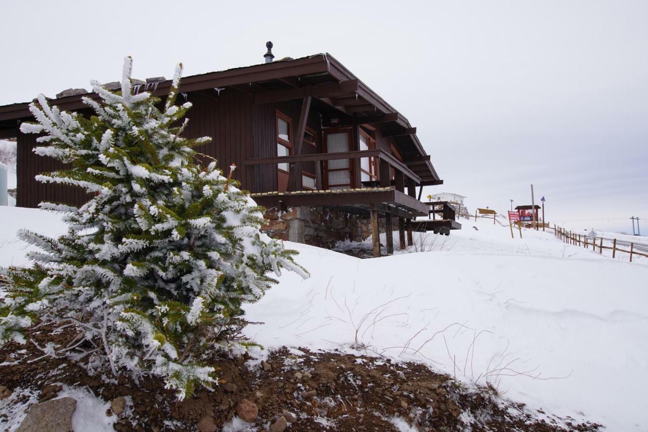 El Colorado Bungalows Exteriör bild